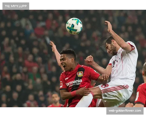 勒沃库森VS奥格斯堡，攻防数据指向大球概率显著提升